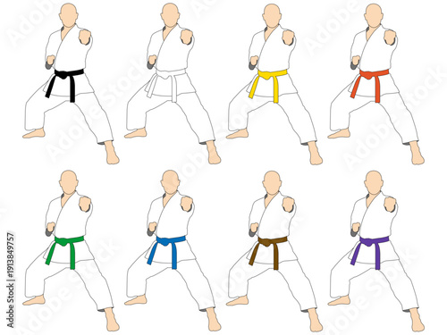 型のポーズを決める各色の帯の空手選手たち