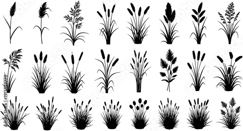 Wild reed silhouette collection, nature wetland plant vector set, marsh grass meadow graphics, riverbank cattail foliage icons, isolated black botanical flora elements.