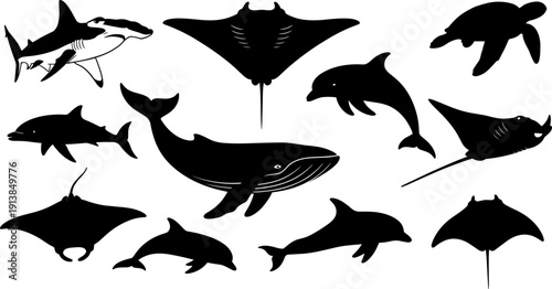 Sea animal silhouette collection, wild marine life vector set, whale dolphin shark ray turtle graphics, ocean underwater creature icons, isolated black aquatic fauna elements.