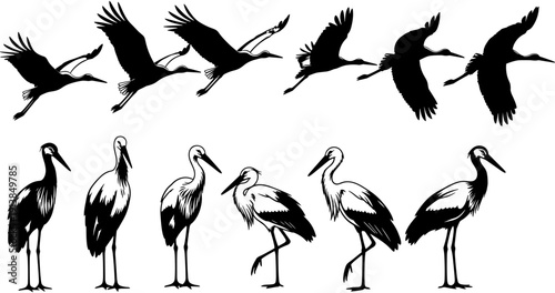 Stork bird silhouette collection, wild crane flying vector set, wetland wildlife standing graphics, isolated black lake bird icons, nature wading bird elements.