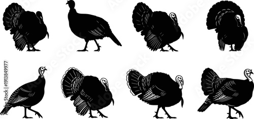 Wild turkey silhouette collection, poultry farm bird vector set, thanksgiving holiday design elements, forest wildlife animal icons, isolated black bird silhouettes.
