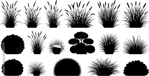 Wild grass silhouette collection, nature meadow plant vector set, garden landscape foliage graphics, pampas grass weed icons, isolated black flora elements.