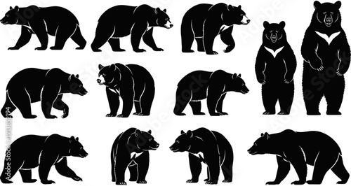Bear silhouette collection, wild grizzly walking vector set, forest animal wildlife graphics, polar bear standing icons, isolated black silhouettes predator.