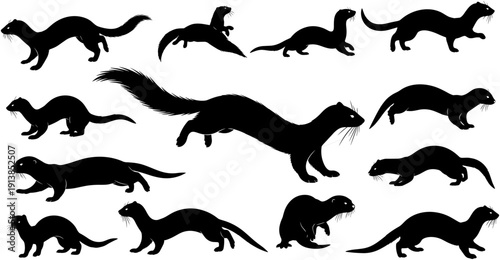 Ferret silhouettes set, wild weasel animal collection, running jumping standing and walking marten poses, slender predator vector illustration, isolated mink shadows.