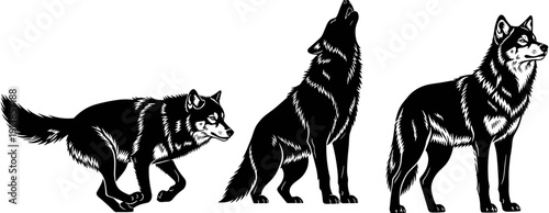 Wild wolf silhouettes vector, howling timber wolf graphics, predator animal illustration set, woodland wildlife design elements, forest hunter canine shapes.