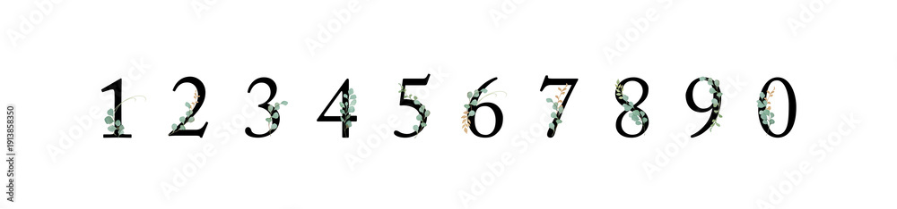 Naklejka premium Bundle of Black Numbers 0-9 with Watercolor Eucalyptus Leaves-300dpi-The font is Adobe Caslon Pro.