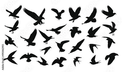 High-quality flying bird silhouette vector set featuring eagle, owl, pigeon, seagull, swallow and various birds in different wing positions