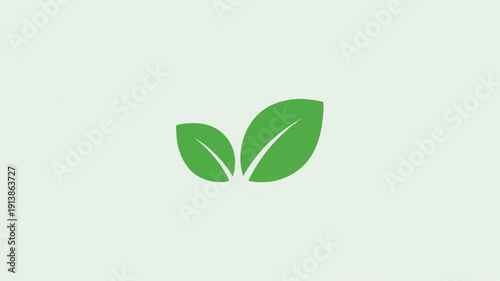 A modern minimalist abstract illustration of leaves from a top view showcasing simplicity and elegance