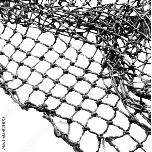 Black and white halftone illustration of fishing net draped with seaweed and marine plants. Detailed nautical texture background with tangled mesh pattern.