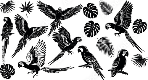 Macaw parrot silhouette vector collection with tropical monstera and palm leaves black and white bird illustration set