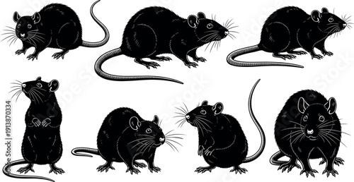 Seven rat silhouette vector illustrations, black and white rodent art, wildlife pest design, animal profile graphics, minimal decorative artwork