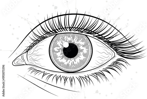 Close-up of a Human Eye with Long Eyelashes