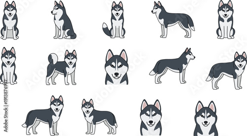 Siberian Husky Dog Cartoon Character Mega Set with Sitting, Standing and Portrait Views for Pet Design Flat Vector Collection