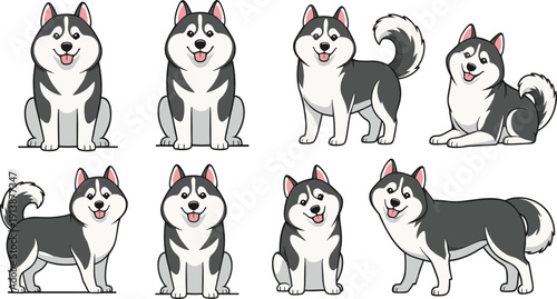 Siberian Husky Dog Cartoon Character Set with Sitting, Standing and Lying Poses for Pet Design, Cute Arctic Canine Flat Vector Collection
