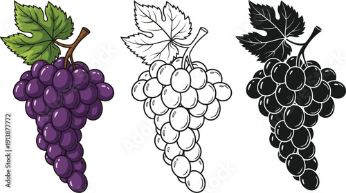 Grapes fruit icons set with realistic outline and solid styles vineyard wine food flat vector illustration