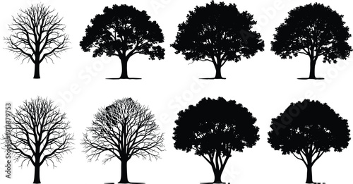 Tree silhouette illustrations with full foliage and bare branches showing seasonal variation and diverse species in design