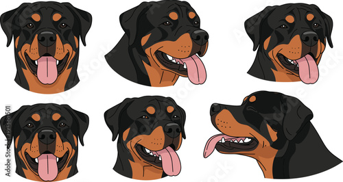Rottweiler Dog Cartoon Head Set with Different Angles and Expressions for Pet Avatar Design, Guard Canine Flat Vector Illustration Collection