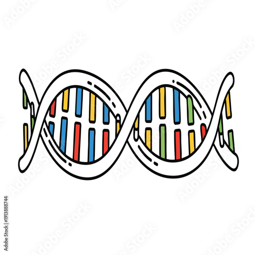 Colorful DNA Double Helix Structure Illustration