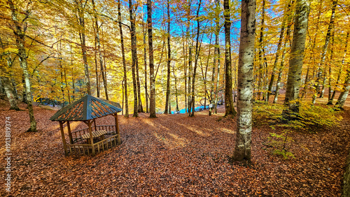 Autumn landscape in (seven ...