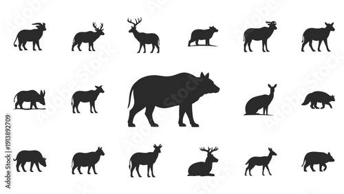 Collection of animal silhouettes for design