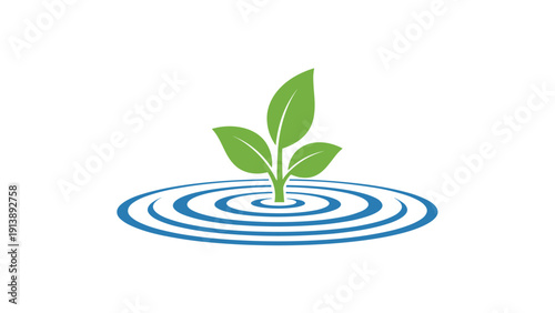Young green sprout growing from the center of water ripples represents the purity of nature and life emerging from aquatic environments.