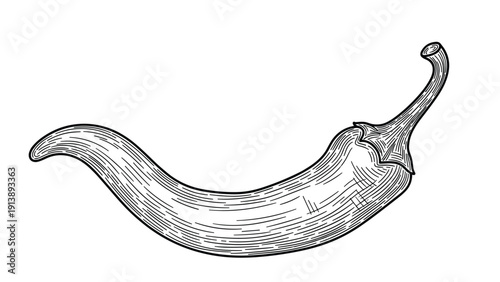 Detailed black and white line art of a single chili pepper with shading and texture provides a versatile illustration for spicy food themes.