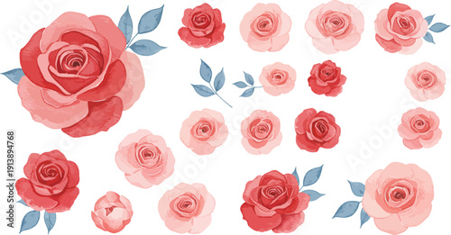 Watercolor illustration of various pink and red roses with leaves on white background
