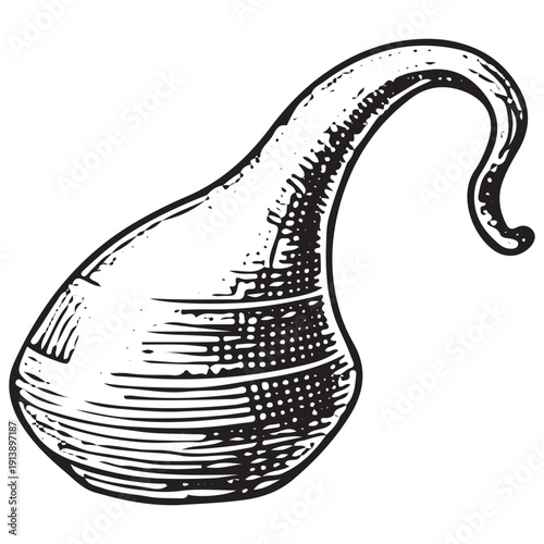Vintage Gourd Water Flask Illustration, Black and White Engraving