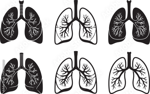 Human lung vector set ,Set of diverse vector illustrations showcasing human lungs, representing anatomical structures and respiratory health concepts for medical design