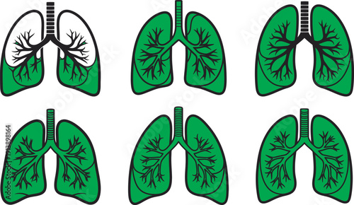 Human lung vector set,  Illustrations of human lungs showing various stages of air volume and respiratory function