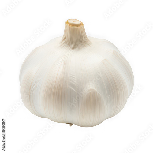 A single whole garlic bulb with its papery white skin intact and roots visible at the bottom