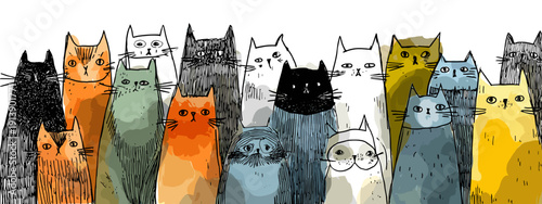 vector illustration of a set of colorful banners of cats isolated on white 