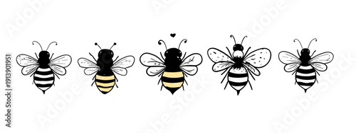 black and white background with bees wasp