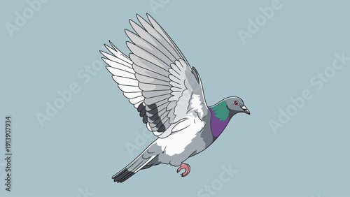 A pigeon flies gracefully against a soft blue background.