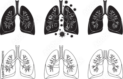 Illustration of healthy and diseased lungs, depicting respiratory system health and medical conditions like infections and viruses