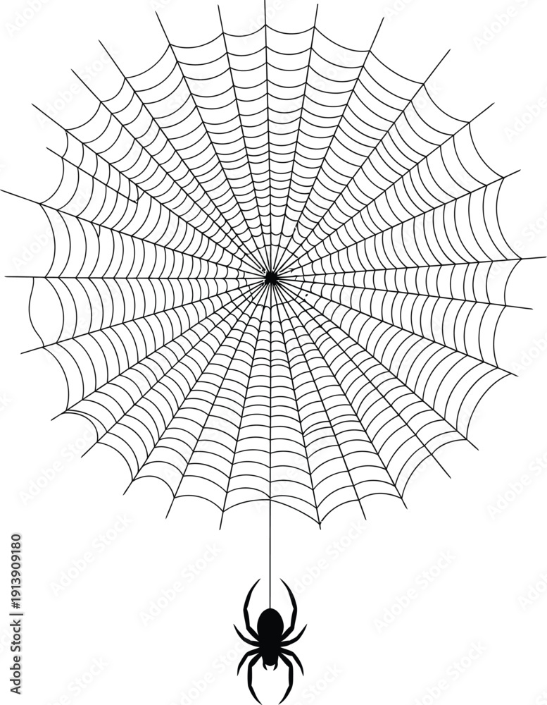 Obraz premium Spider and Web: Black Silhouette Illustration of a Spider Hanging from its Web on a White Background