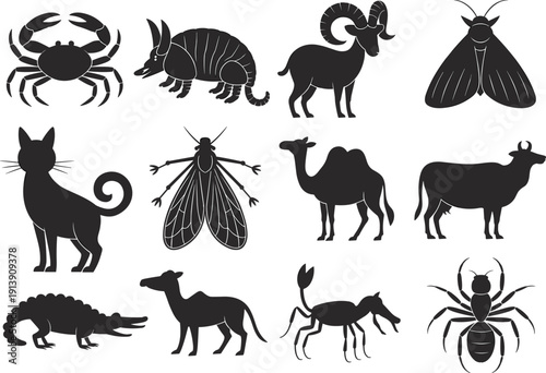 Black silhouette illustration of diverse animals including crab, armadillo, ram, moth, cat, camel, cow, crocodile, dog, scorpion, ant vector artwork