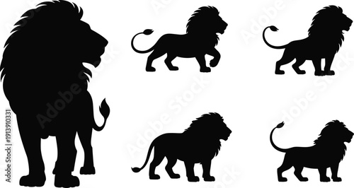 Black silhouette illustration of five lions in various poses, standing and walking, wildlife vector artwork, strong predator design, nature concept