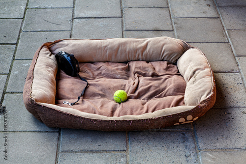 Outdoor patio with warm, wrinkled, worn brown fabric dog bed with a yellow tennis ball and black leash on gray tile floor in backyard of the country house, pet supplies