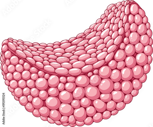Create a realistic Pink skin cell background. 3D illustration vector art with white background.