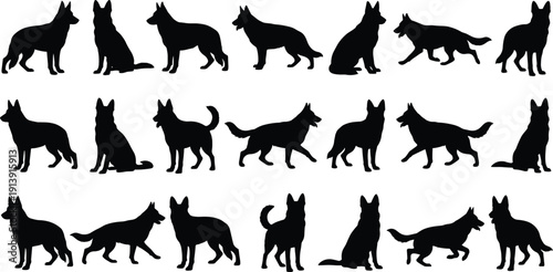 German Shepherd dog silhouette collection, multiple poses isolated on white background, black canine vector illustration set for design