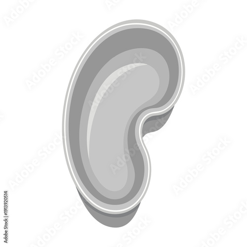 Grey Oyster Shell Illustration