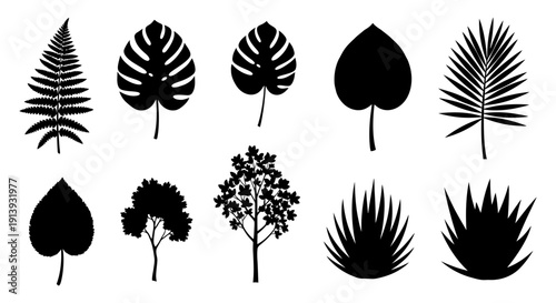 Collection of various black silhouetted leaves and plants on a clean background viewed from directly above