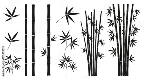 Bamboo stalks and leaves illustration in a minimalist style, showcasing various elements of the plant.