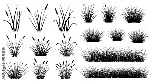 Collection of assorted grass and aquatic plants illustrations displayed together in various arrangements