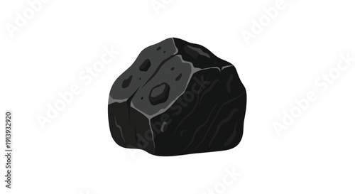 A single dark grey and black textured rock with an irregular shape and visible mineral patterns.