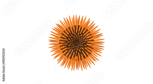 A top-down view highlights the intricate circular pattern of a vibrant orange spiky flower, possibly an echinacea bloom.