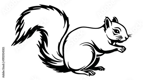 A black and white graphic depicting a squirrel with a fluffy tail and alert expression
