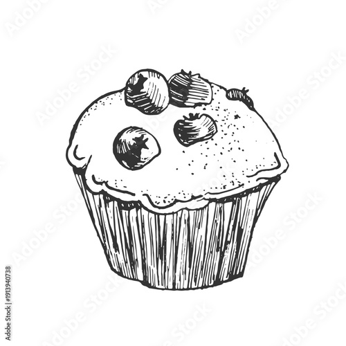Blueberry muffin hand-drawn vector illustration. Sketch of a sweet pastry. Isolated object, element for label design, menus, recipes, bakery, and coffee shop.