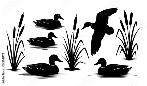 Black Duck Silhouettes with Cattails in Water Wetland Nature Vector Set
